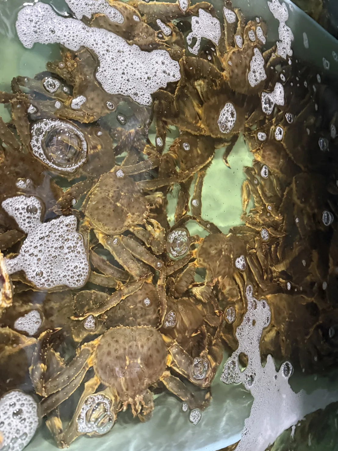 Cua sống tại bể hải sản The GU